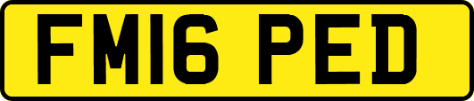 FM16PED