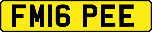 FM16PEE
