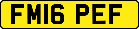 FM16PEF