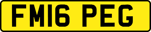 FM16PEG