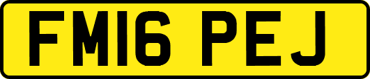FM16PEJ