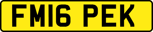 FM16PEK