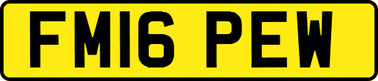 FM16PEW