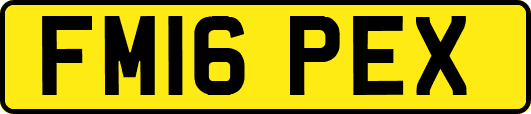 FM16PEX