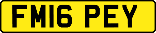 FM16PEY