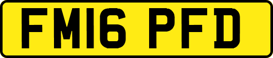 FM16PFD