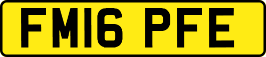 FM16PFE