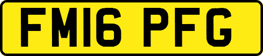 FM16PFG