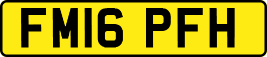 FM16PFH
