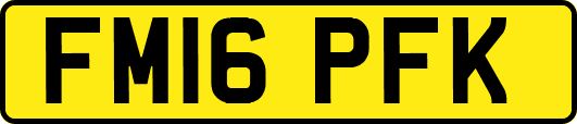 FM16PFK