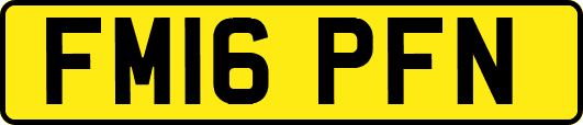 FM16PFN