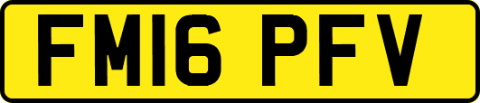 FM16PFV