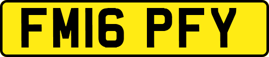 FM16PFY