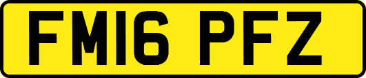 FM16PFZ