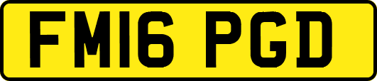 FM16PGD