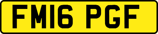 FM16PGF