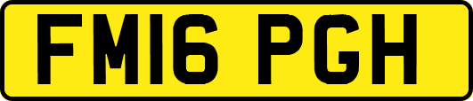 FM16PGH