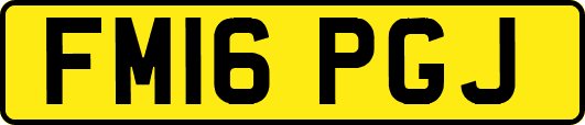 FM16PGJ