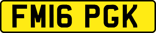 FM16PGK