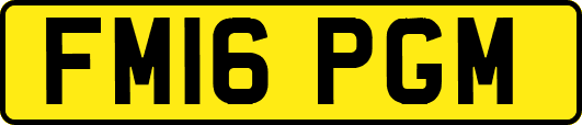 FM16PGM