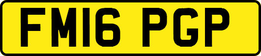FM16PGP