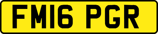 FM16PGR
