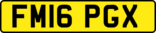 FM16PGX