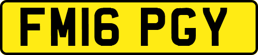 FM16PGY