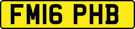 FM16PHB