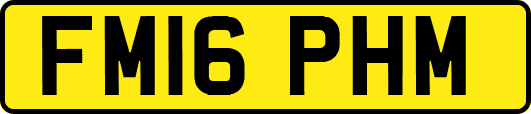 FM16PHM