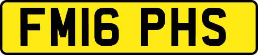 FM16PHS