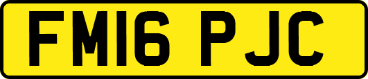 FM16PJC