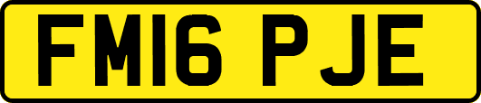 FM16PJE