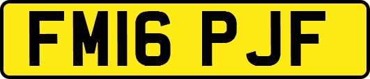 FM16PJF