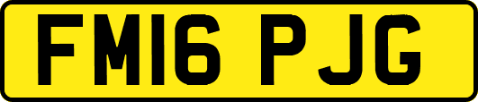 FM16PJG