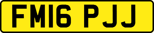 FM16PJJ