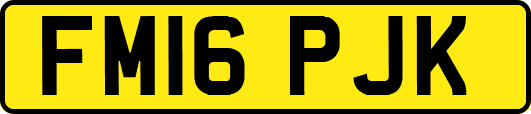 FM16PJK