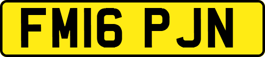 FM16PJN