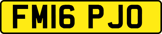 FM16PJO