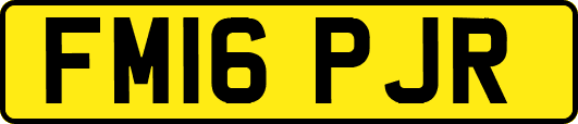 FM16PJR
