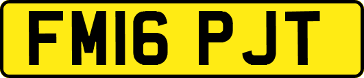 FM16PJT