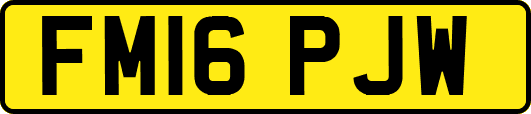 FM16PJW