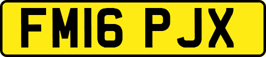 FM16PJX
