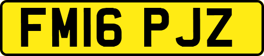 FM16PJZ