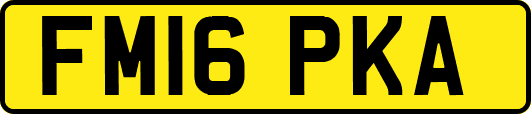 FM16PKA