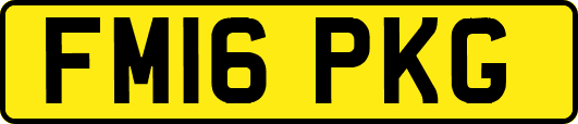 FM16PKG