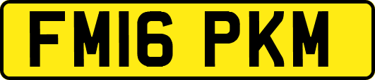 FM16PKM