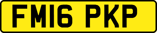 FM16PKP