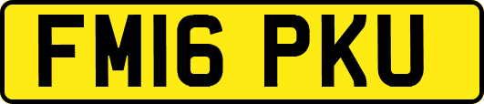 FM16PKU