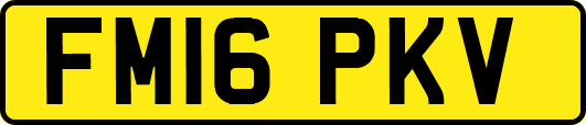 FM16PKV
